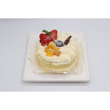 Biodegradable Sugarcane Bagasse Square Plate Wholesale for Cake/Fruit/Lunch/Dishes